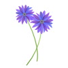 fleurs